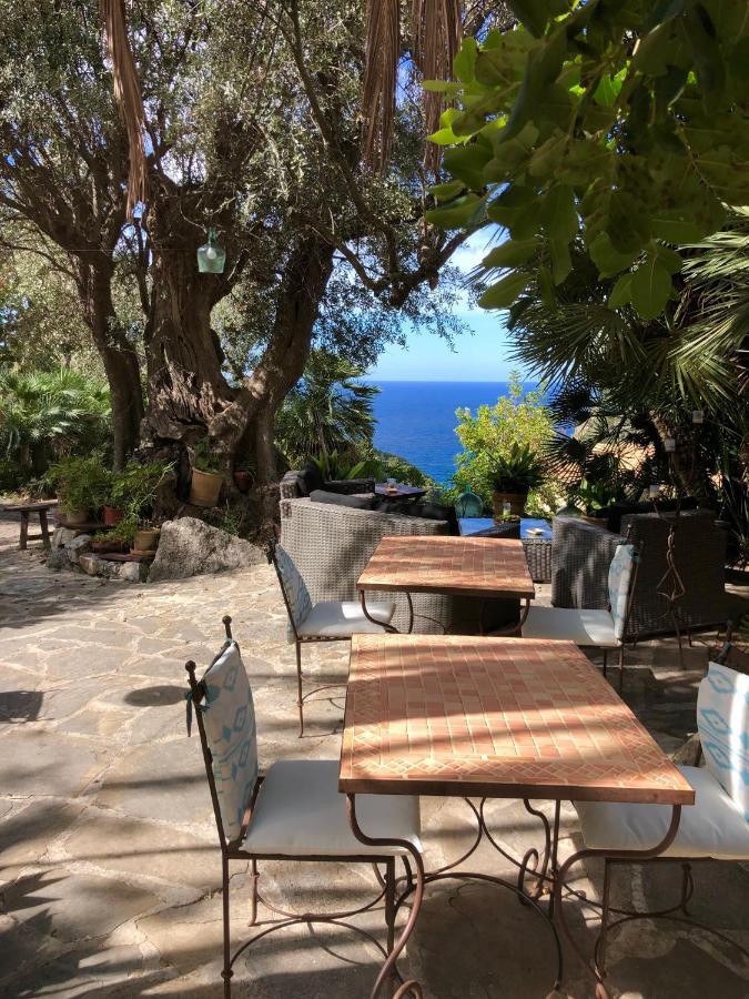 Sa Plana Petit 3* Estellenchs