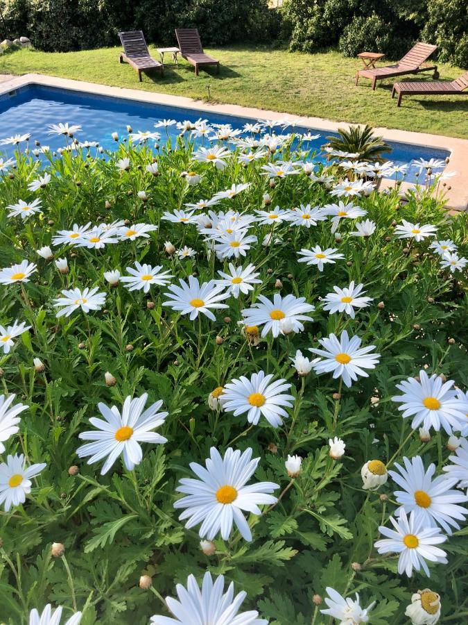 Sa Plana Petit Hotel Estellenchs